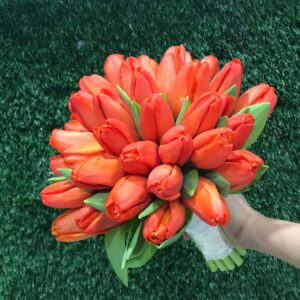 Orange tulip