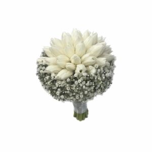 White tulip with white gypsophila