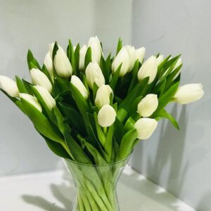 25pcs of white tulip with glass