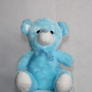 Teddy Bear Blue Light