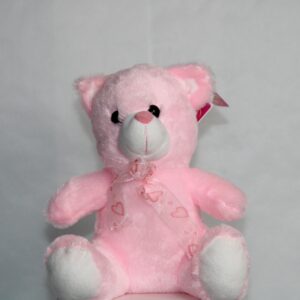 Teddy Bear pink Light